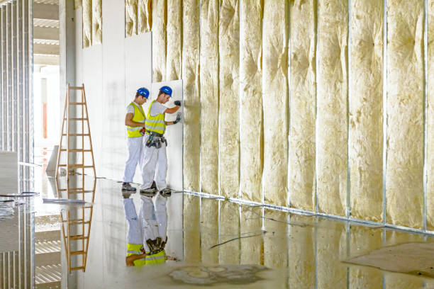 Best Best Insulation Companies  in Middleborough Center, MA
